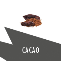Gusto Cacao